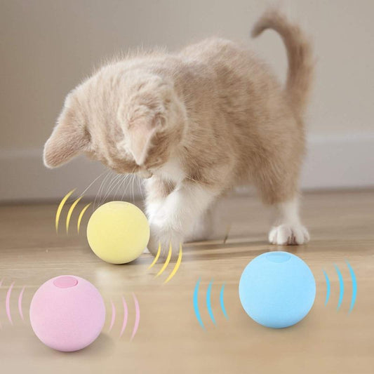 SmartBall™ - Balle intelligente d'apprentissage pour chat - Blacksun Cat