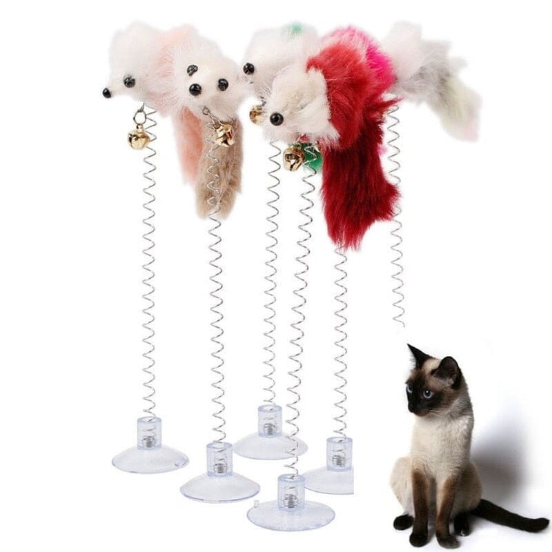 SpringFun™ - Colonne Spirale pour chat - Blacksun Cat